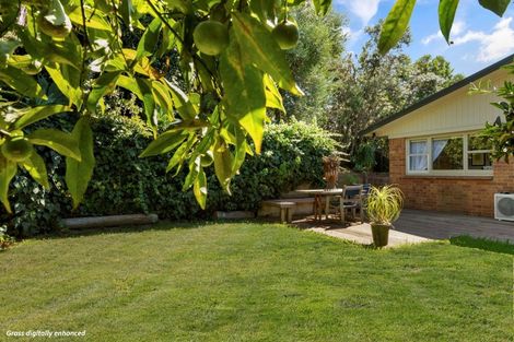 Photo of property in 30 Campbell Road, Mount Maunganui, 3116