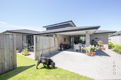 Photo of property in 17 Pitoitoi Drive, Riverhead, 0820