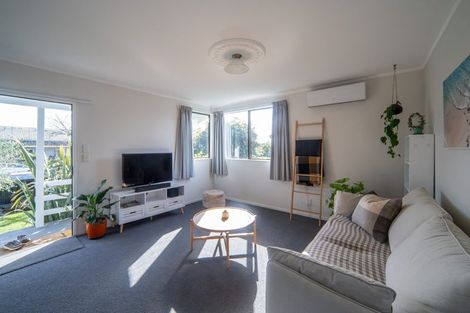 Photo of property in 45 Alison Street, Hamilton Lake, Hamilton, 3204