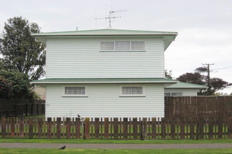 Photo of property in 127 Tiro Tiro Road, Levin, 5510