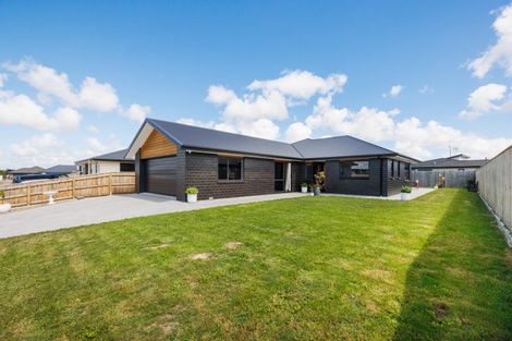Photo of property in 43 Accolade Street, Feilding, 4702