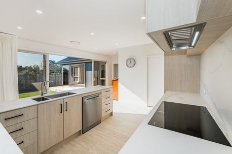 Photo of property in 25 Phoenix Palms Grove, Levin, 5510