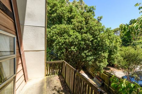 Photo of property in 145 Winchester Street, Ashhurst, 4810