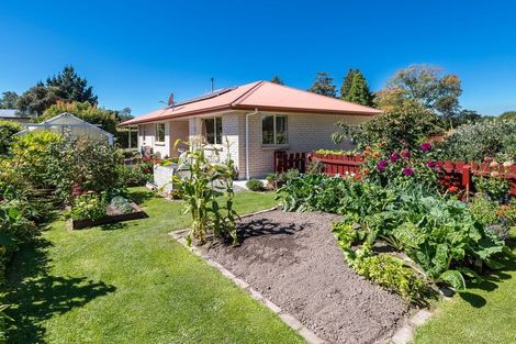 Photo of property in 26 Dobson Street, Waimate, 7924