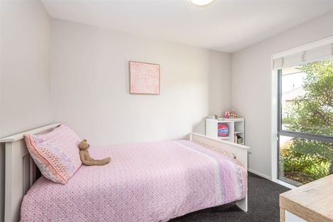 Photo of property in 29 Platform Way, Prebbleton, 7604