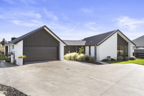 Photo of property in 11 Kotare Grove, Cambridge, 3434