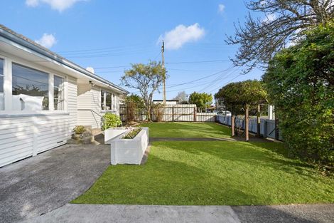 Photo of property in 172 Nixon Street, Hamilton East, Hamilton, 3216