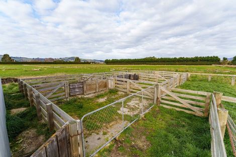Photo of property in 255 Riccarton Road West, Mosgiel, 9092