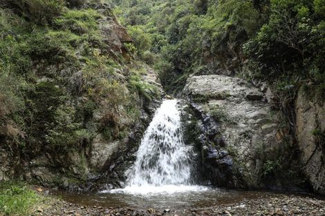 Photo of property in 106 Harrison Hill Road, Aokautere, 4471