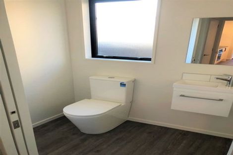 Photo of property in 49 Olliviers Road, Phillipstown, Christchurch, 8011