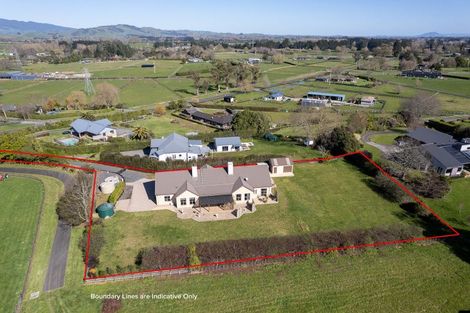 Photo of property in 79 Maungakawa Road, Cambridge, 3496