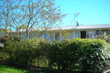 Photo of property in 49 Raeburne Street, Te Awamutu, 3800