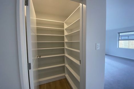 Photo of property in 7 Sarah Nicholls Street, Belfast, Christchurch, 8051
