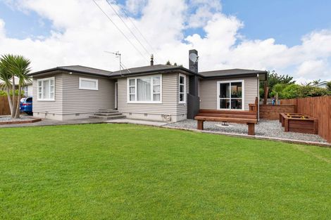 Photo of property in 41 Duke Street, Levin, 5510