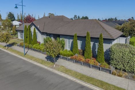 Photo of property in 1 Tommy Street, Pegasus, 7612