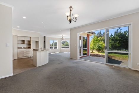 Photo of property in 407 Youngson Road, Whakamarama, Tauranga, 3179