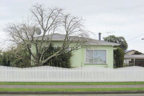 Photo of property in 123-125 Tiro Tiro Road, Levin, 5510