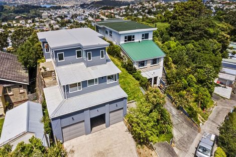 Photo of property in 91 Karepa Street, Brooklyn, Wellington, 6021