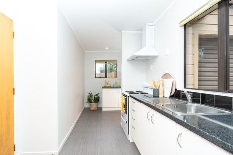 Photo of property in 208a Nixon Street, Hamilton East, Hamilton, 3216