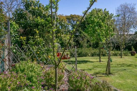 Photo of property in 128 Cole Street, Masterton, 5810