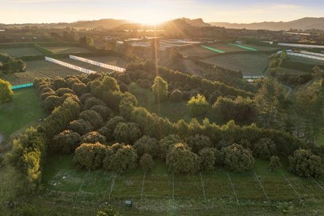 Photo of property in 612 No 1 Road, Te Puke, 3182