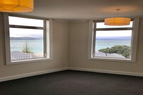 Photo of property in 7 Oriental Terrace, Oriental Bay, Wellington, 6011