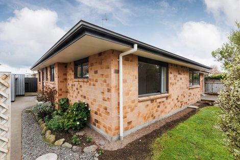Photo of property in 15 King Street, Feilding, 4702
