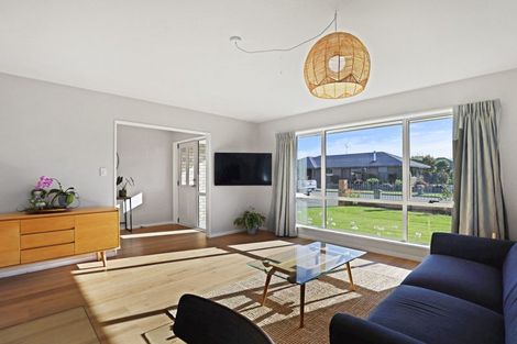 Photo of property in 15 Hight Place, Tinwald, Ashburton, 7700