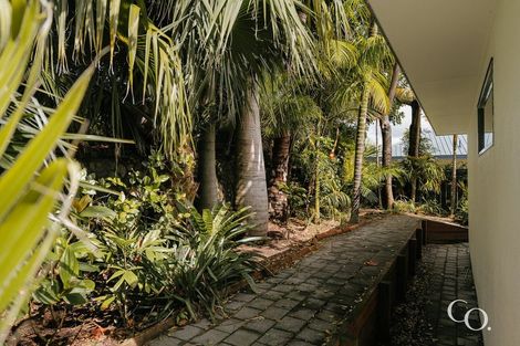 Photo of property in 19 Matawha Way, Brookfield, Tauranga, 3110