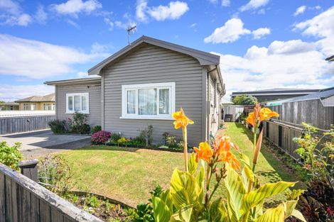Photo of property in 351 Tremaine Avenue, Takaro, Palmerston North, 4412