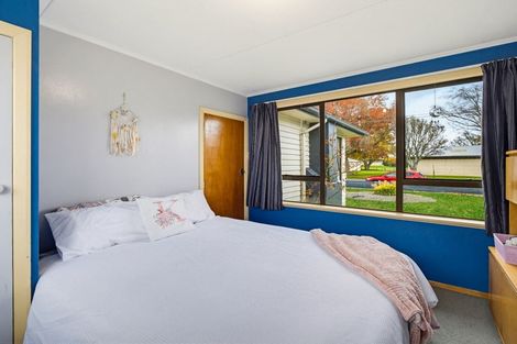 Photo of property in 17 Neptune Street, Dannevirke, 4930