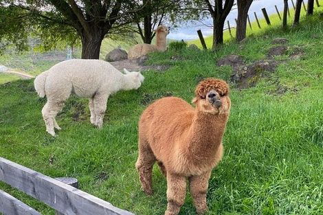 Photo of property in 204 Eskridge Drive, Eskdale, Napier, 4182