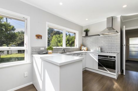 Photo of property in 20 Halberg Street, Papakura, 2110