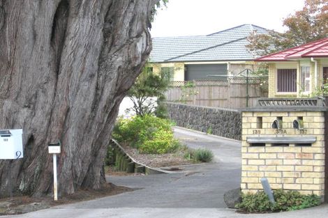 Photo of property in 139a Flanshaw Road, Te Atatu South, Auckland, 0610