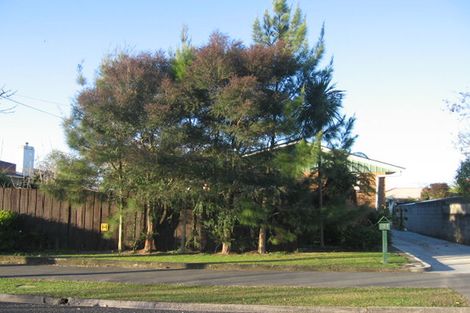 Photo of property in 4 Carlyle Avenue, Chartwell, Hamilton, 3210