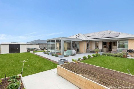 Photo of property in 5 Denton Street, Amberley, 7410