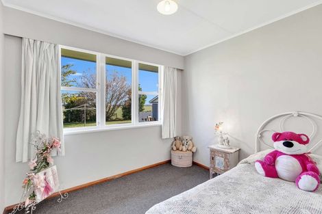 Photo of property in 224 Aranui Road, Kairanga, Palmerston North, 4475