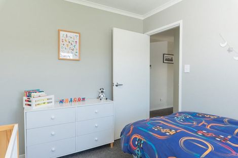 Photo of property in 48 Larch Crescent, Alexandra, 9320