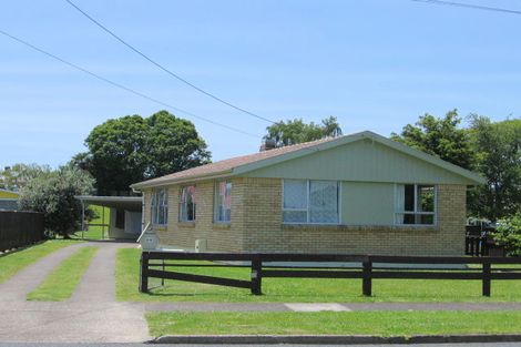 Photo of property in 64 Rangitahi Street, Otorohanga, 3900