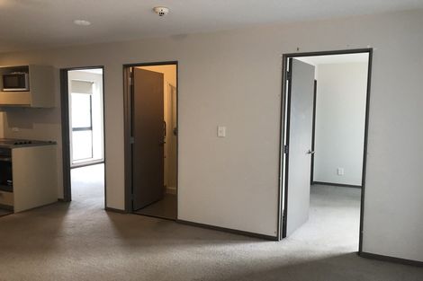 Photo of property in Dual Apartments, 301/142u Vivian Street, Te Aro, Wellington, 6011