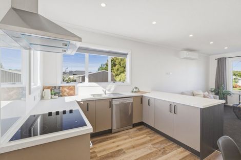 Photo of property in 65b Alexandra Street, Marton, 4710