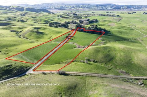 Photo of property in 906 Te Aute Trust Road, Poukawa, 4178