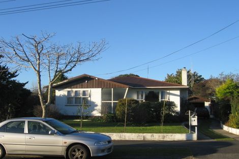 Photo of property in 6 Carlyle Avenue, Chartwell, Hamilton, 3210