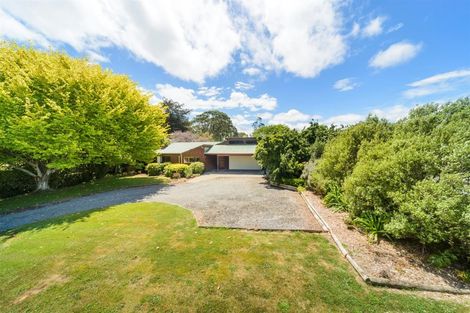 Photo of property in 40 Milne Street, Marton, 4710