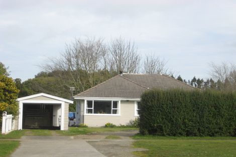 Photo of property in 27 Regan Street, Stratford, 4332