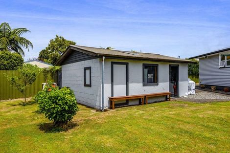 Photo of property in 114 Ariel Street, Stratford, 4332