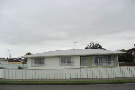 Photo of property in 113 Tiro Tiro Road, Levin, 5510