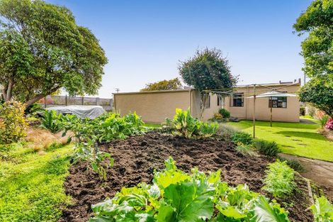 Photo of property in 8 Skinner Street, Blagdon, New Plymouth, 4310