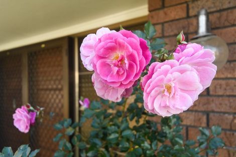 Photo of property in 44 Pencarrow Street, Highbury, Palmerston North, 4412