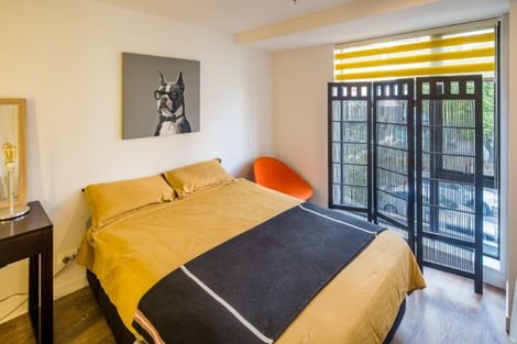 Photo of property in Vsp South, 106/168u Victoria Street, Te Aro, Wellington, 6011